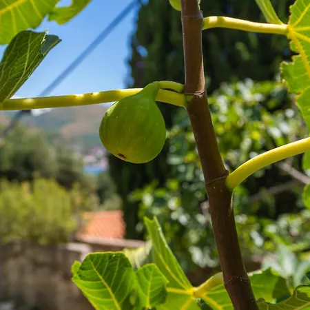 Апартаменты Pero Затон